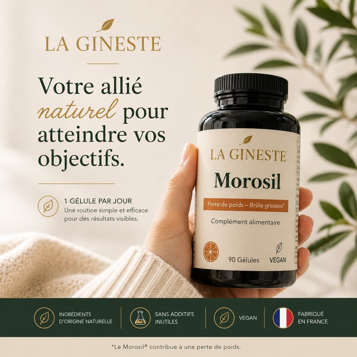 La Gineste Morosil lifestyle